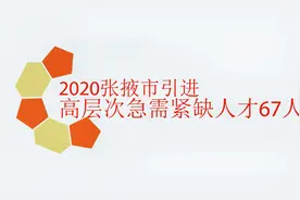 张掖市引进高层次人才67人，事业编视频封面