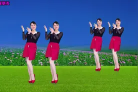 广场舞《你是我永远的痛》DJ版情歌对唱，听多少遍都不腻视频封面