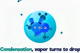 The Water Cycle Song 水循环歌曲