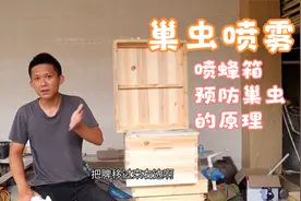 巢虫喷雾喷蜂箱就能预防巢虫上脾，其中的原理是什么，你知道吗？视频封面