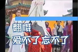 翻唱爱不了忘不了视频封面