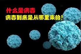 什么是病毒，病毒到底是从哪里来，为什么病毒的破坏力那么大？
