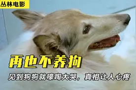 爱狗人士竟谈狗色变，一见到狗狗就嚎啕大哭，真相让人心疼