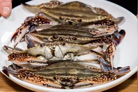 螃蟹焖鸡煲家常海鲜做法，鸡块皮爽肉滑螃蟹鲜美清甜，好吃到极致