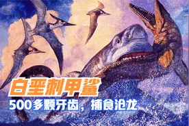 白垩刺甲鲨有多凶猛，500多颗牙齿，敢于和沧龙、海龙王叫板