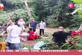 中国旅游团在老挝发生严重车祸，游客家属接受采访，还原事故经过视频封面