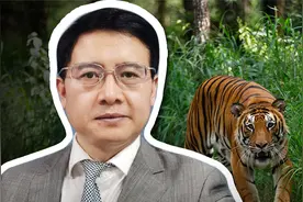 东北虎下山：能打死吗、如何维护生态平衡留住老虎、需生态移民？视频封面