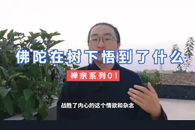 释迦牟尼为什么被世人尊称为佛陀？视频封面