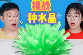 水晶还能种出来？挑战用开水种出晶莹剔透蓝水晶，太神奇了！视频封面