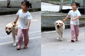 狗狗独自溜出去玩，被萌娃霸气逮回满脸不服气：人家还没玩够呢视频封面