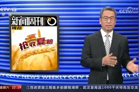 河南麦收季遇10年最严重“烂场雨” 白岩松：今年怕什么来什么视频封面