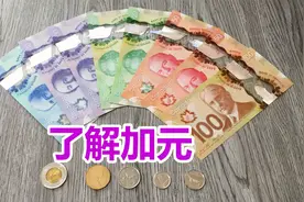 了解加元，透过货币看加拿大，加元的材质、图案及背后的意义视频封面