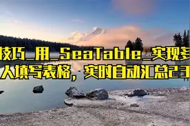 技巧_用_SeaTable_实现多人填写表格，实时自动汇总23视频封面