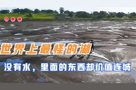 湖南长沙市GDP上万亿，中部三强，房子均价最低的新一线城市视频封面