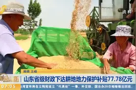 山东省级财政下达，耕地地力保护补贴77.78亿元！视频封面