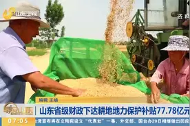 山东省级财政下达，耕地地力保护补贴77.78亿元！视频封面