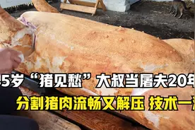 45岁大叔当了20年屠夫，人称“猪见愁”，靠杀猪年入10万真厉害！视频封面