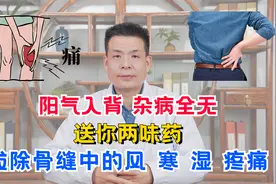 阳气入背，杂病全无，送你两味药，拔除骨缝中的风、寒、湿、疼痛视频封面