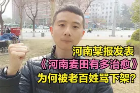 河南日报麦田治愈视频被骂下架，文章写尽太平世，不肯俯首看人间视频封面