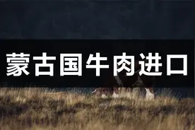 蒙古国牛肉进口对我们有什么影响？视频封面