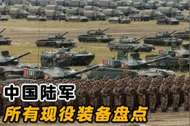 中国陆军现役的所有装备盘点，191式和95式步枪新老接替