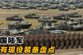 中国陆军现役的所有装备盘点，191式和95式步枪新老接替视频封面