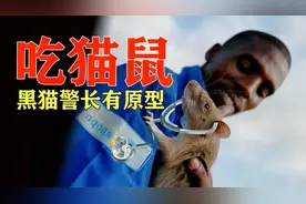 不仅黑猫警长有原型，连吃猫鼠也是真实动物