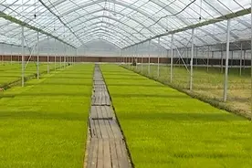 永修县：提高农事效率 做好农业社会化服务体系视频封面