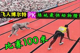 博尔特百米极限9秒58，和猎豹比赛100米结果如何？简直被虐惨了