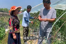 东北农村生茄子当水果吃？二嫂有困难媳妇直呼帮不了，只能帮着吃视频封面