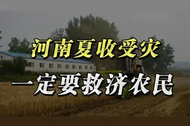 河南夏收“烂场雨”牵动全网，这是中国社会的温度视频封面