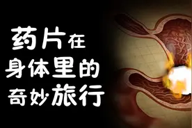 当药吃进肚子时，会经历怎样的旅程？药物为什么能缓解疼痛？视频封面