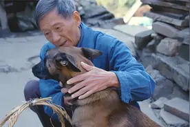 80老人救下流浪狗，儿媳不满一顿毒打，最后它却救了全家人的命！视频封面