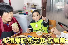 小猪喜欢吃熟芝麻，五月降温穿棉袄，小猪吃着饭哄着弟弟逗乐家人视频封面
