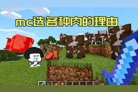 我的世界：mc选各种肉的理由，牛排只是附属品，皮革才是生存必备