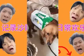 岳母：去给狗买件衣服，零钱买些酒喝。老铁们看我这事办的咋样!视频封面