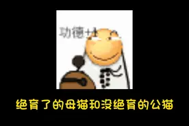 绝育了的母猫和没绝育的公猫在一起会不会xx？#科普视频封面