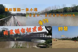 重庆茶园一条小溪，是亲水、亲近自然的好地方，周末很有仪式感！视频封面