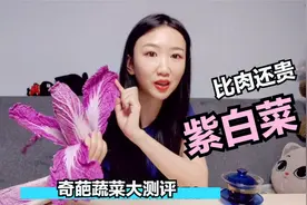 奇葩蔬菜评测，比肉还贵紫白菜，好看好吃又好玩，天然抗衰花青素