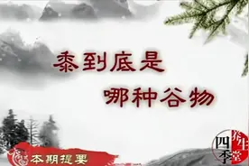 五谷为养之黍(黄米)视频封面