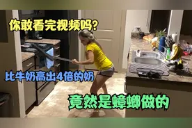 你敢想象吗？蟑螂宝宝的营养价值竟然比牛奶还要高出4倍