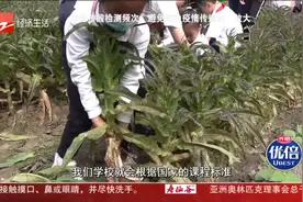 9月起中小学劳动课要学做饭 小学生：这是必备生存技能视频封面