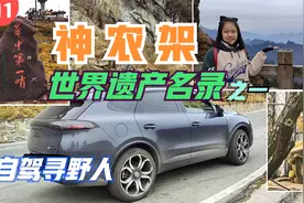 3200多米高的超美原始森林，因为野人而出名，湖北最值得来的地方视频封面