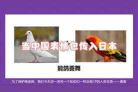 中国表情包传入日本？日本网友：这什么东西？我怀疑你这里有问题视频封面