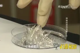 受到磁场影响，液态金属既能瞬间凝固，也能瞬间融化|走近科学视频封面