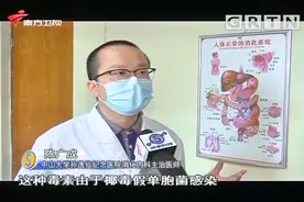 河粉受米酵菌酸毒素污染，导致中毒，专家详解其中原理|城事特搜
