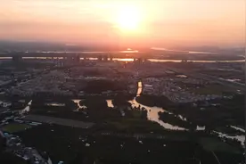 航拍广东江门小鸟天堂，巴金笔下的巨型榕树，傍晚千鸟归巢回来了视频封面