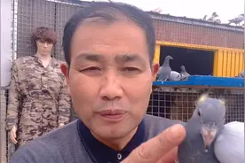 农村大叔教你：不花一分钱就可以轻松搞定鸽痘，好方法简单实用