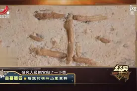 横岭山墓葬群太蹊跷，消失的骸骨特殊的符号，背后究竟有何真相？视频封面