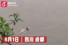 实拍成都一男子钓鱼被洪水冲走：遇危险不丢渔具包 拼命游一段视频封面